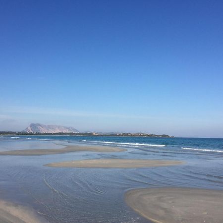 Hotel Al Faro Spiaggia La Cinta Santeodoro San Teodoro  Dış mekan fotoğraf