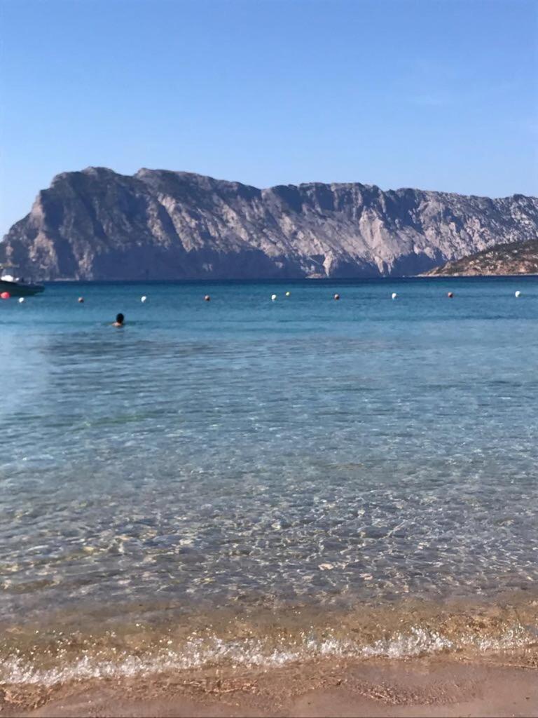 Hotel Al Faro Spiaggia La Cinta Santeodoro San Teodoro  Dış mekan fotoğraf