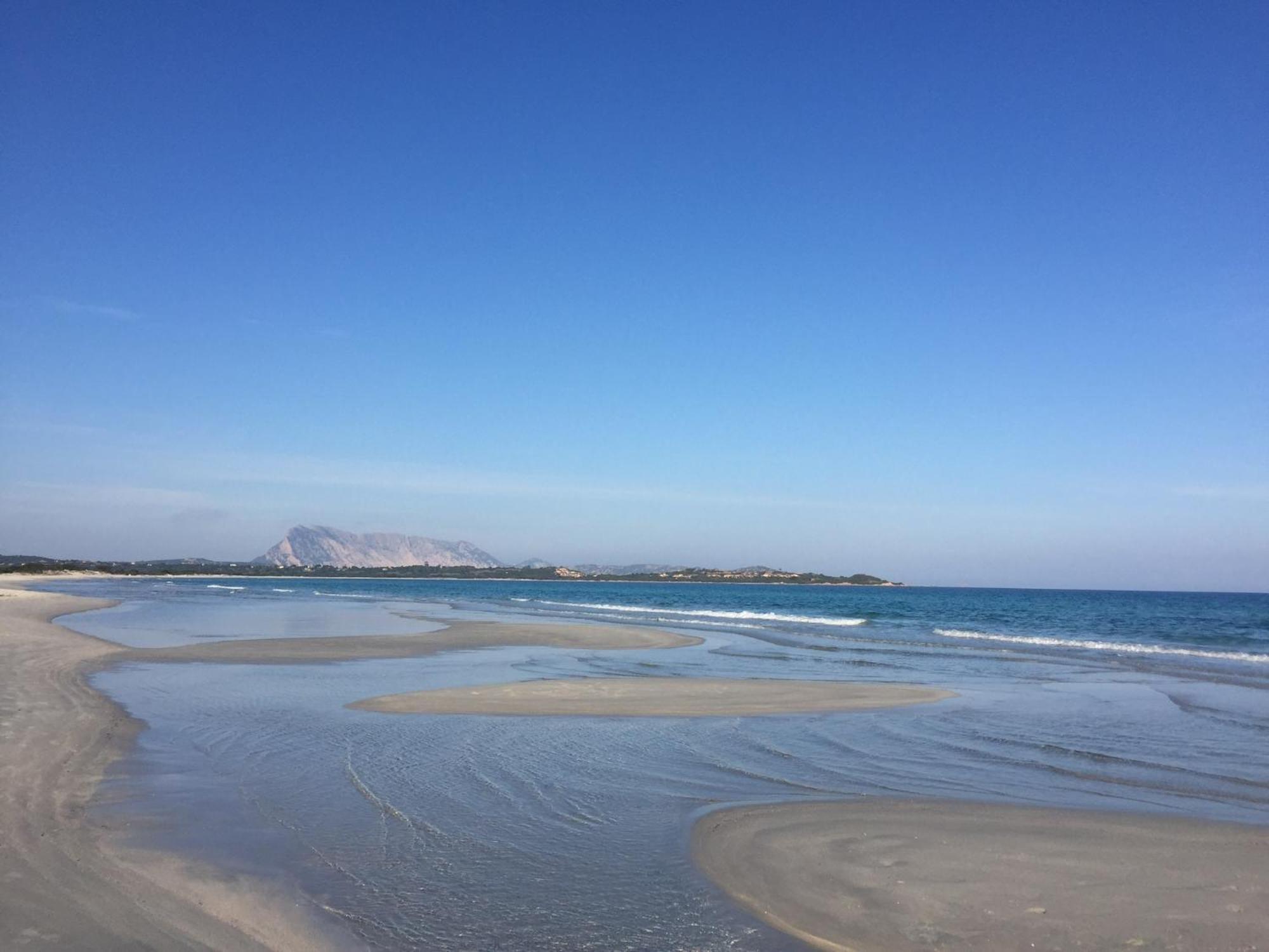 Hotel Al Faro Spiaggia La Cinta Santeodoro San Teodoro  Dış mekan fotoğraf