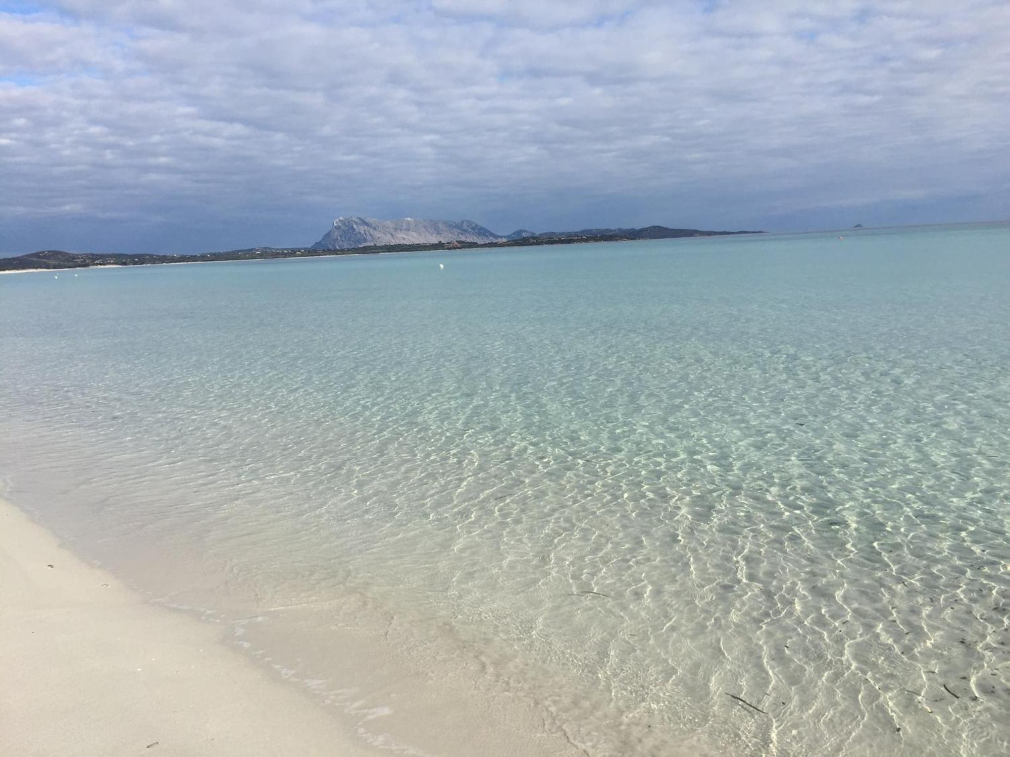 Hotel Al Faro Spiaggia La Cinta Santeodoro San Teodoro  Dış mekan fotoğraf